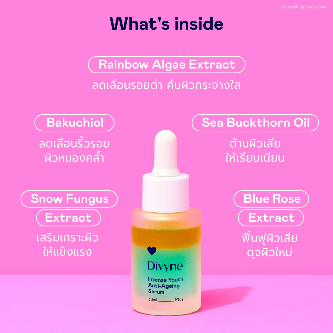 Timeless Bright Duo