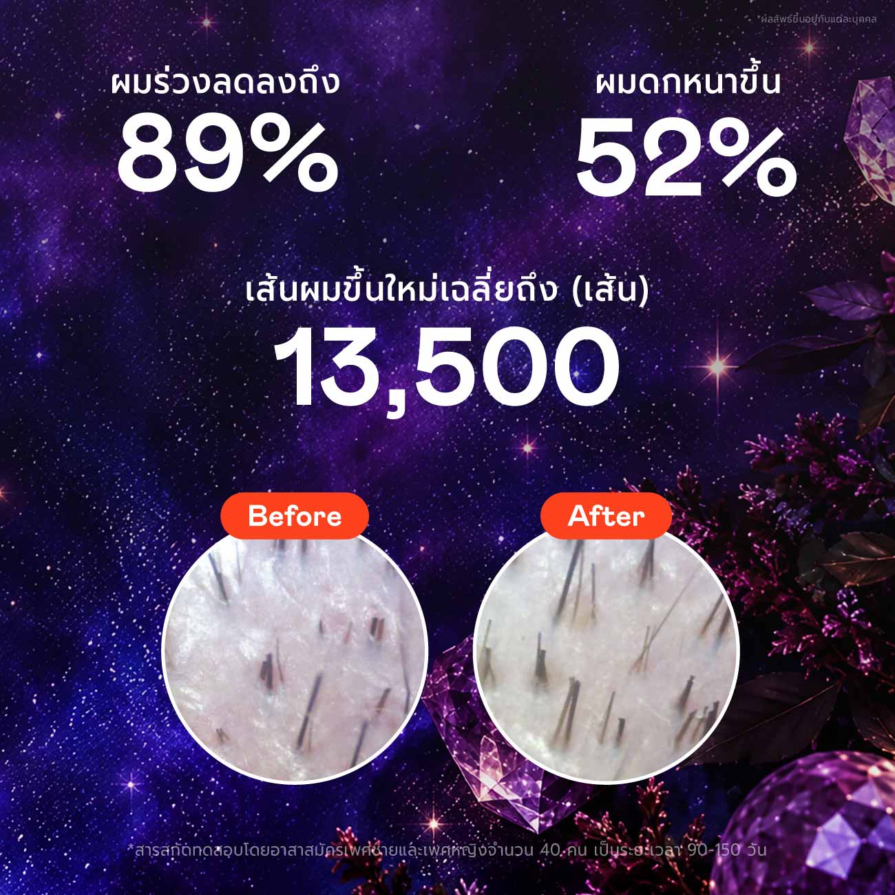 Haircare Promo Set